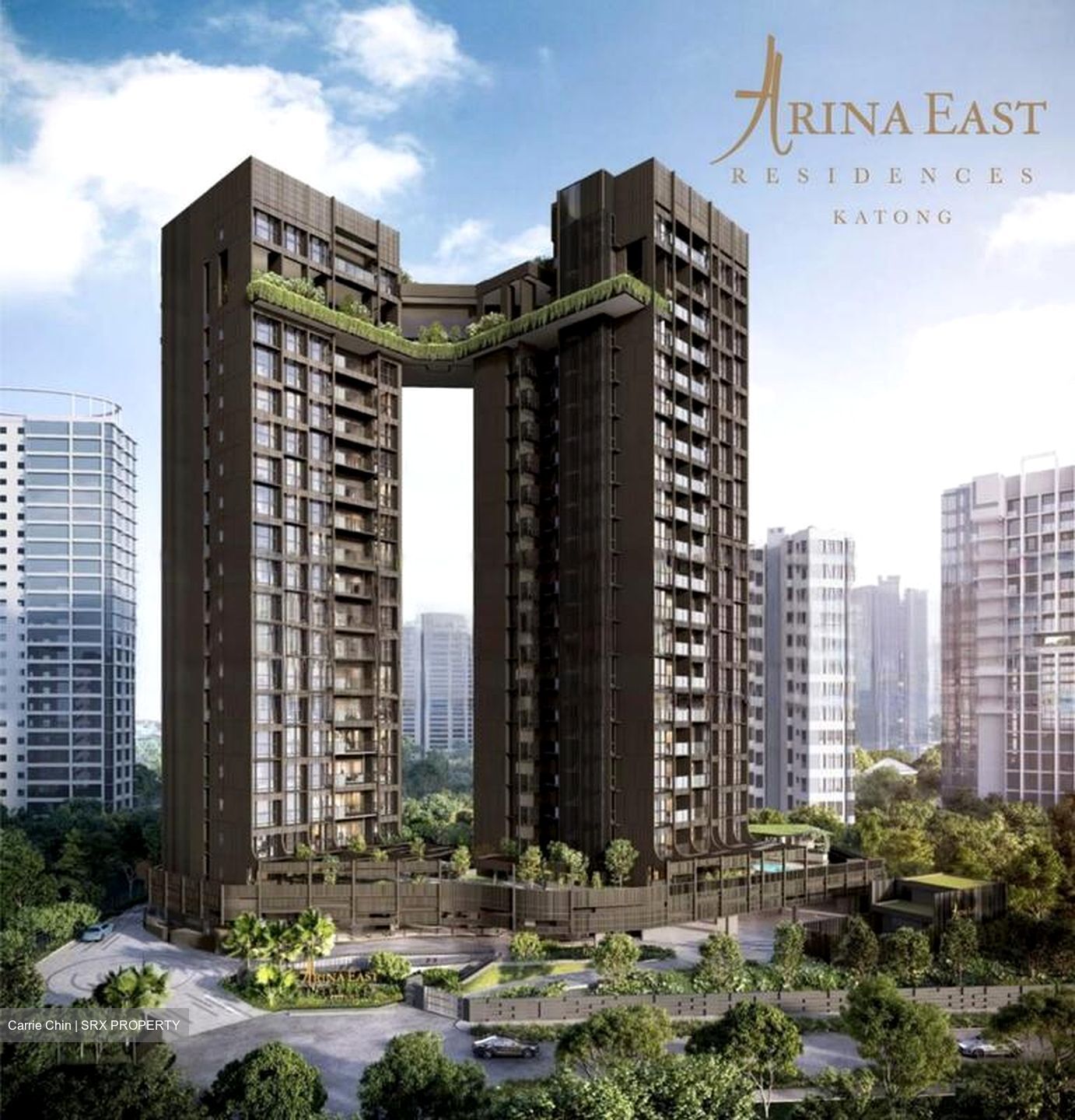 Arina East Residences (D15), Apartment #451347101